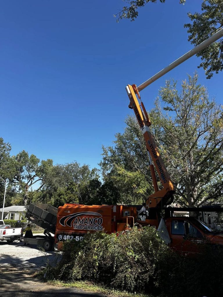 Gallery - Amanco Tree Services Omaha - Amanco Tree Services Omaha