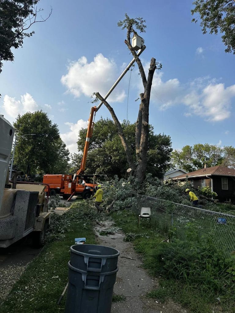 Gallery - Amanco Tree Services Omaha - Amanco Tree Services Omaha