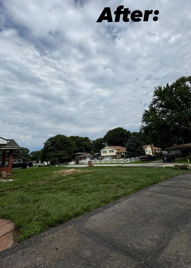 Gallery - Amanco Tree Services Omaha - Amanco Tree Services Omaha