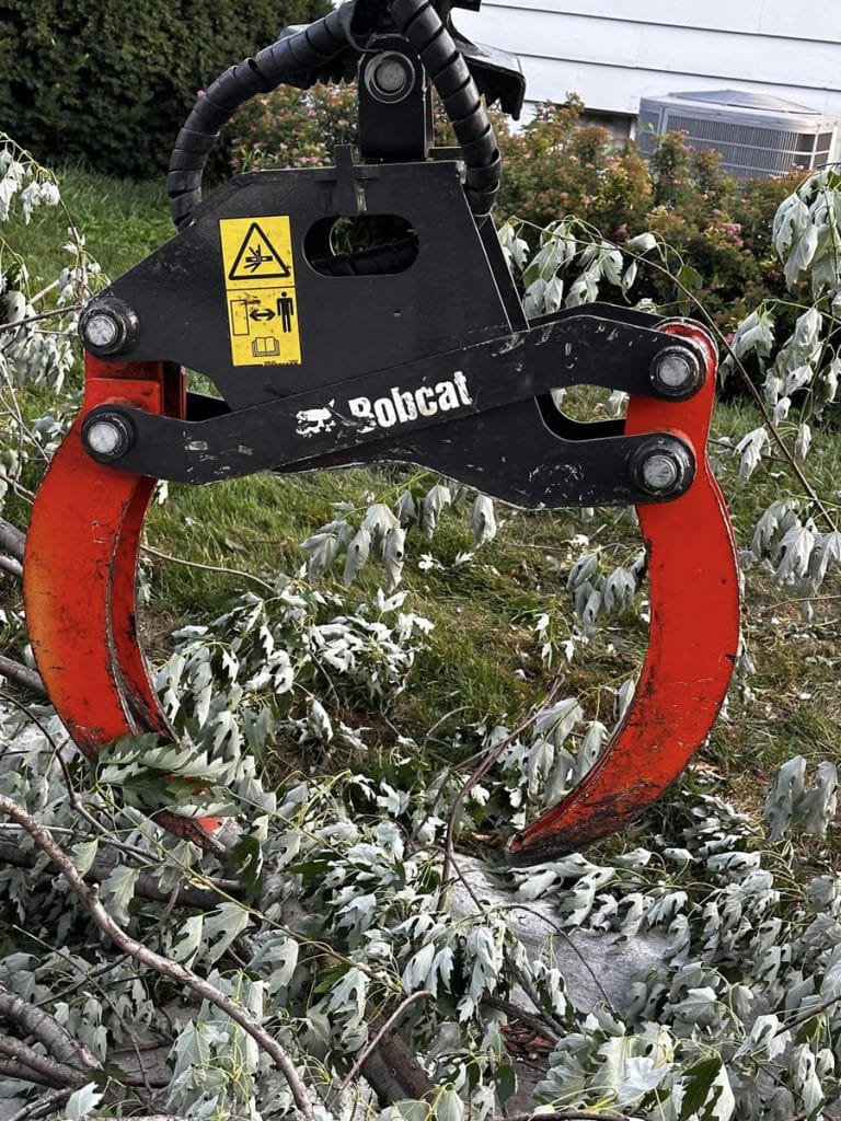 Gallery - Amanco Tree Services Omaha - Amanco Tree Services Omaha