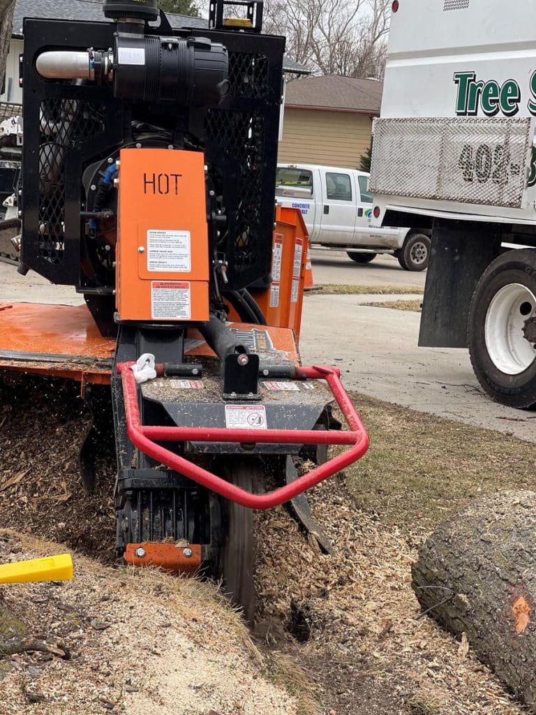 Gallery - Amanco Tree Services Omaha - Amanco Tree Services Omaha