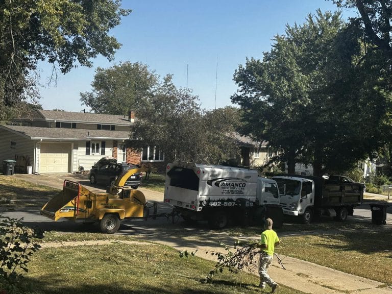 Gallery - Amanco Tree Services Omaha - Amanco Tree Services Omaha