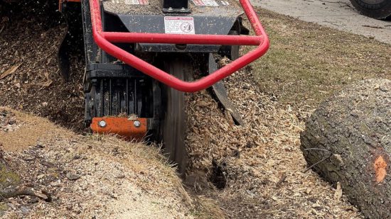 Amanco-Trees-Services-Omaha-32-1200px